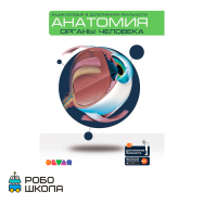 Энциклопедия «Анатомия: органы человека»